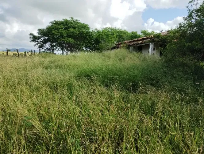 terreno com 8 tarefas de terra ,frente com o medrado entre Santa Terezinha e Castro Alves