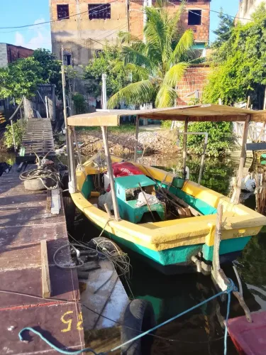 Barco todo de fibra,cobertura de fibra