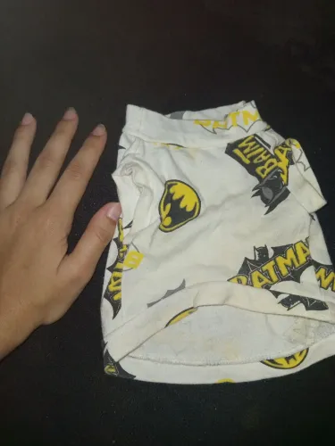 Roupinhas pra cachorro filhote