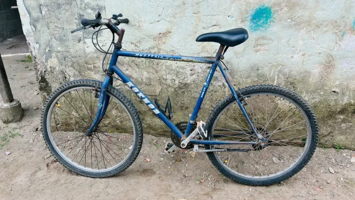 Bicicleta