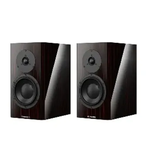 Dynaudio Special Fourty black vine 