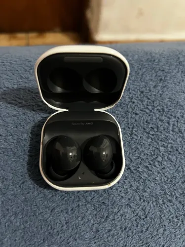 BUDS PRO 2