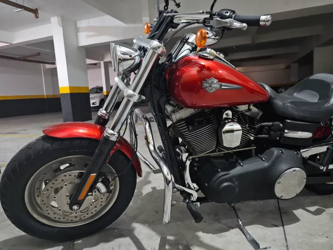 FAT BOB 2013