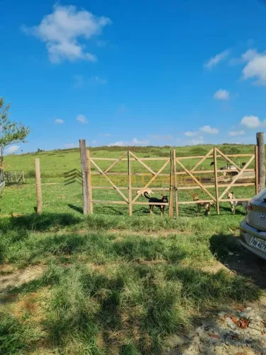 Sítio com 3 Quartos para Locação, Borba - Pindamonhangaba