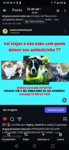 BABÁ PETSITTER PARA GATOS-