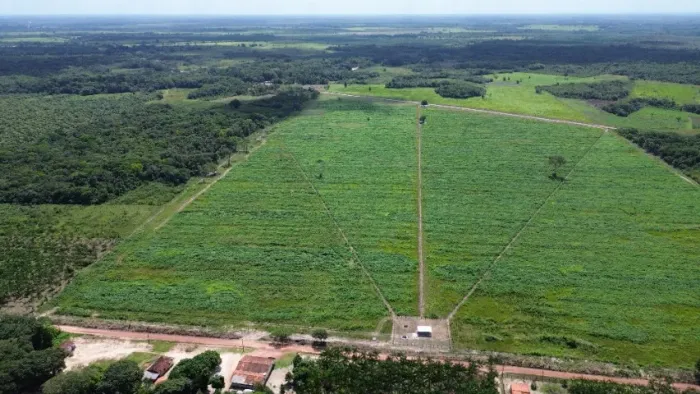 50 hectares escriturada nas margens do asfalto 30 km de Castanhal R$2 milhões