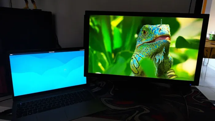 Monitor Acer V246HQL 60Hz