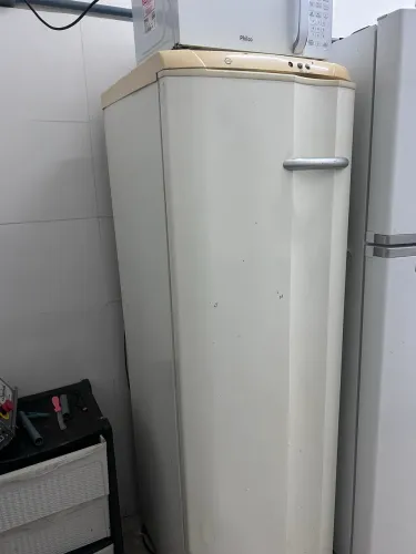 Freezer Vertical