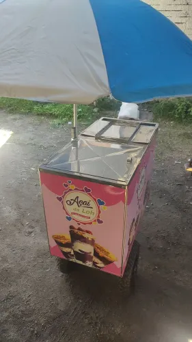 Carrocinha de açaí, sorvete ou picolé nunca foi usada acompanha placas proficinais de gelo
