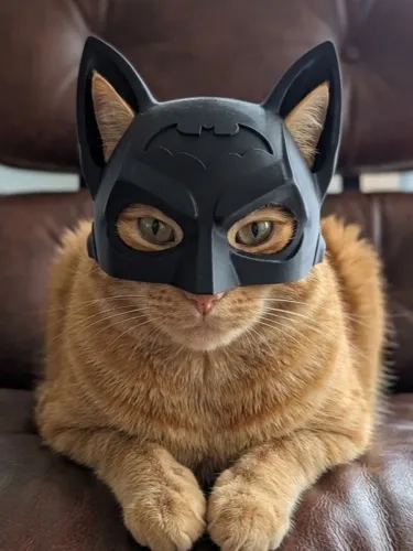 Máscara para gato produzida em impressora 3d