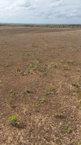 Àrea rural com 700 hectares - Macapá - AP