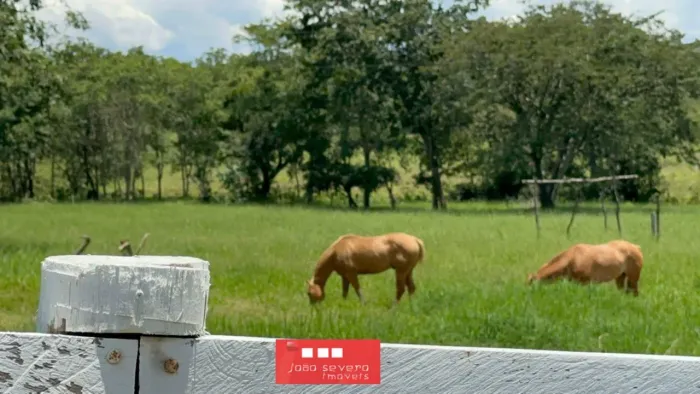 Fazenda para Venda em Planaltina, 3 dormitórios, 1 suíte, 2 banheiros