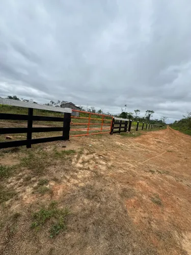 Vende-se 50 H.A Terra com Título Definitivo