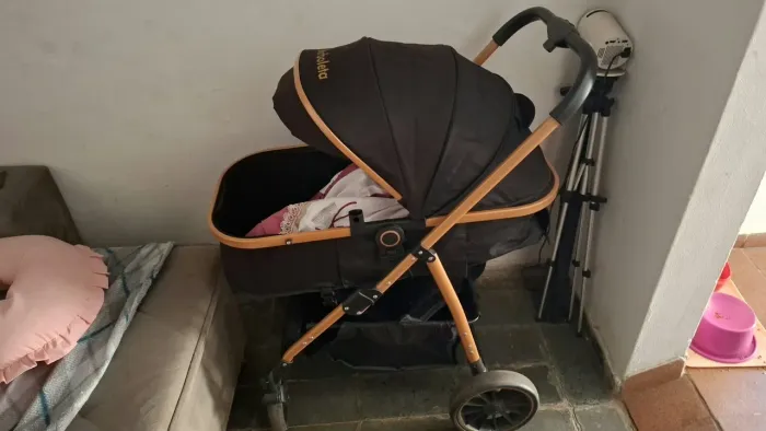Carrinho de bebe Moisés 
