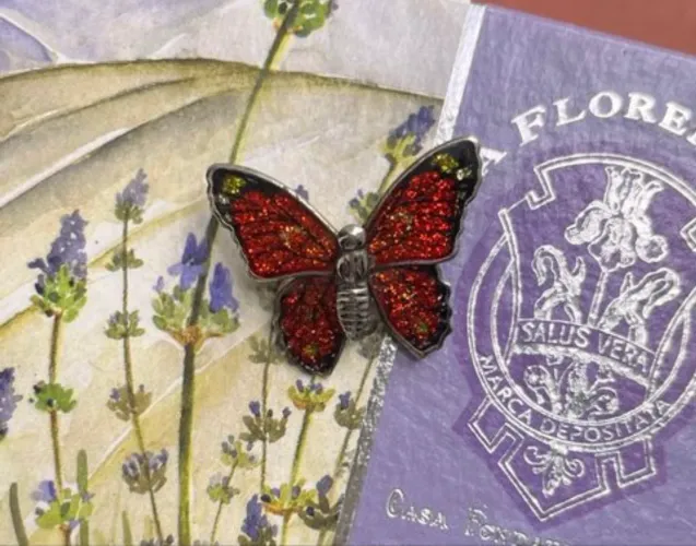 Broche de borboleta