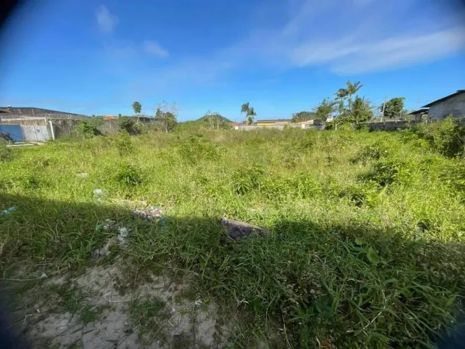 Lote/Terreno à Venda, Vila Erminda - Peruíbe