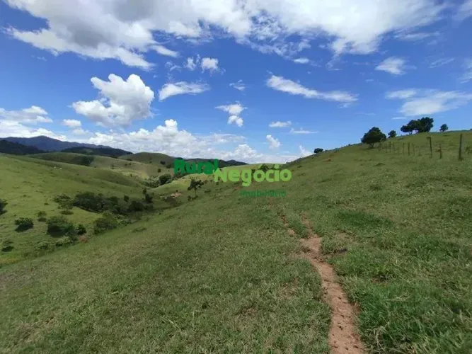 FAZENDA FORMADA PARA GADO CORTE E LEITE EM CAÇAPAVA-SP