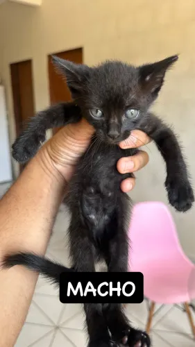 Doção