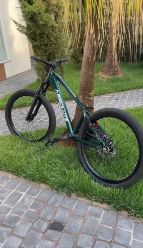 Bicicleta Absolute Brutus