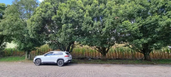 Terreno São Luiz Caxias do Sul