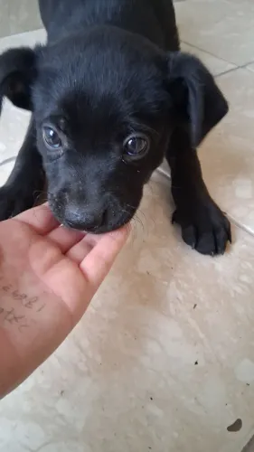 Doação responsável!!