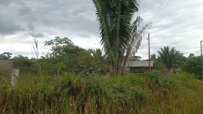 Terreno barato leia o anúncio