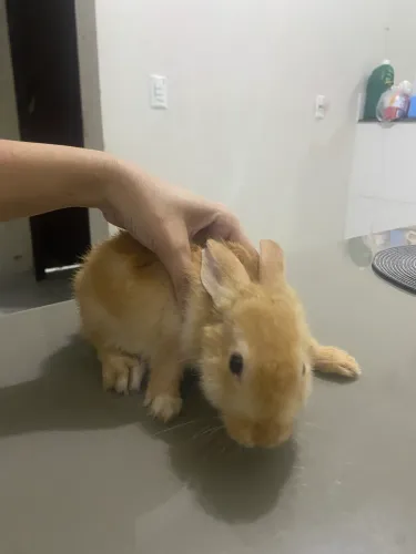 Doação
