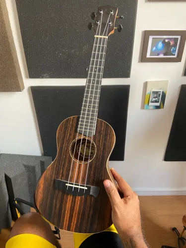 Ukulele Concert Tagima Hawaii Wailua 