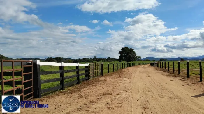 FAZENDA À VENDA EM PORANGATU  GO | 114,5 ALQUEIRES | 90% FORMADA