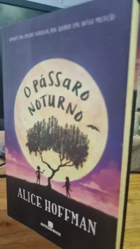 O Pássaro Noturno - Alice Hoffman