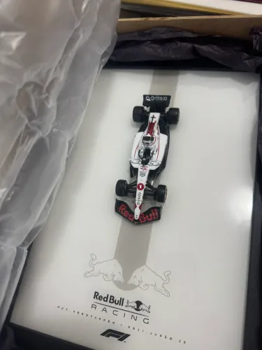 Quadro F1 Fórmula um com miniatura