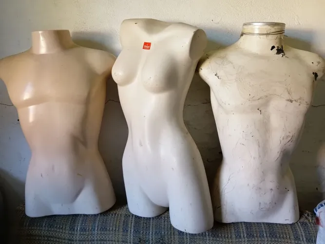 Busto meio corpo
