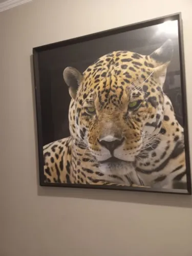 Quadro de Onça 