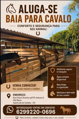 Aluguel de baía pra cavalo