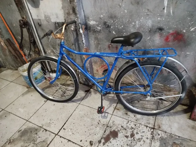 Bike Monark luvada