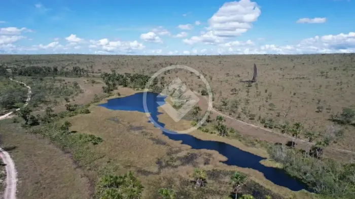 Fazenda 293 Alqueires à Venda em Dianópolis/TO  20 km da Cidade | R$ 9 Milhões codigo: 384