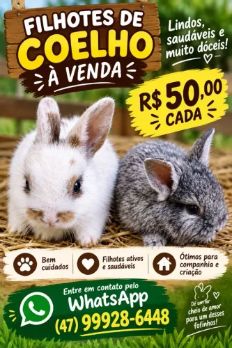 Filhotes de coelhos