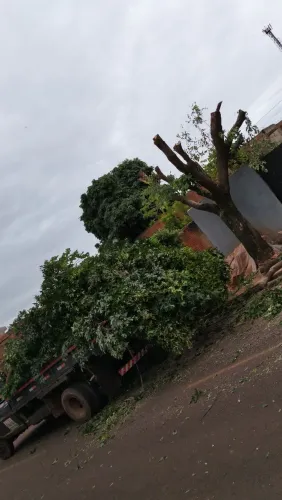 Serviço de Jardinagem