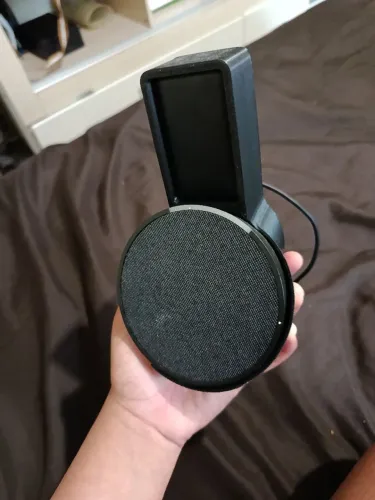 Alexa pop
