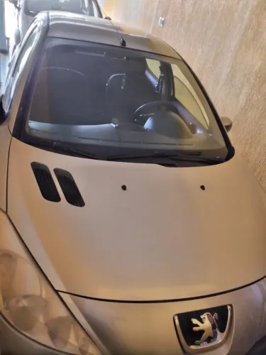 Peugeot 207 XR 1.4 Flex 8V 5P 2009