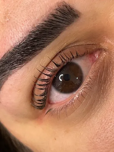 Lash Liftihn 