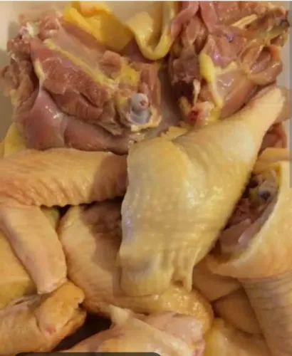 Galinha caipira e suíno 