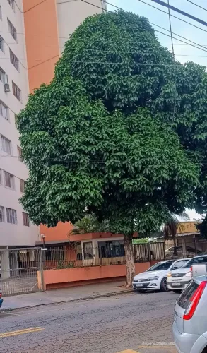 Alugo Apartamento no Setor Vila Nova 