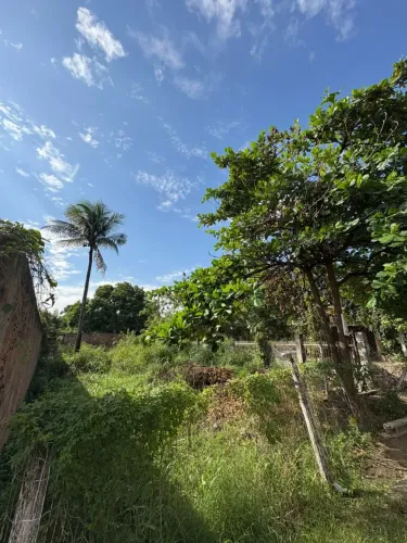 Ótimo terreno para venda na estrada do moinho campo grande