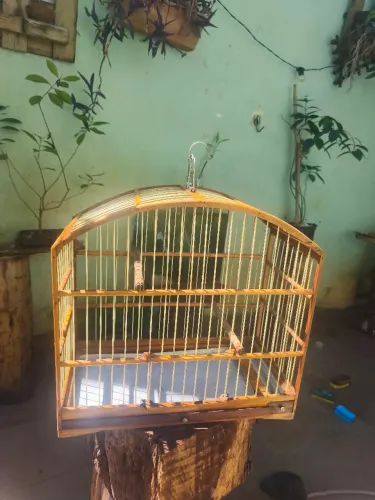 Gaiola de passeio trinca ferro