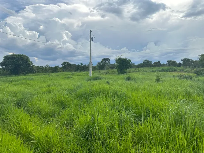 Vendo Fazenda