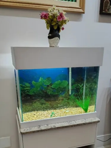 Aquário Completo 81 Litros - Tampa, base, iluminação e filtro