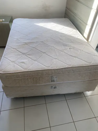 CAMA EUROSONO