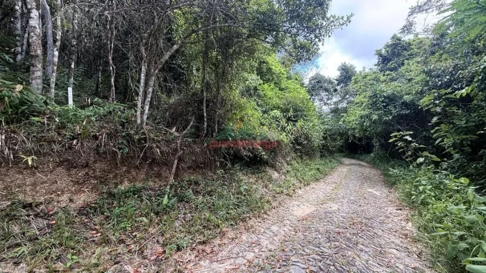 Um refúgio na serra de Guaramiranga, com 4,15 hectares, muita água e natureza