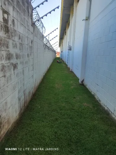 Jardinagem e paisagismo 